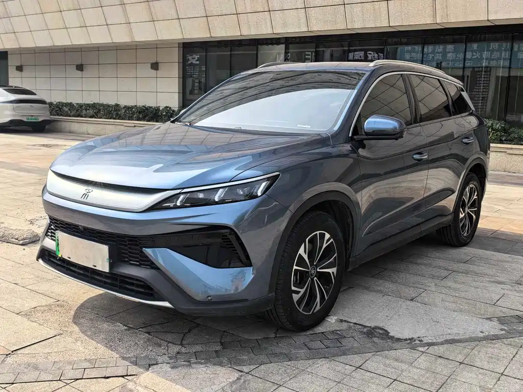 BYD Pro New Energy 2024