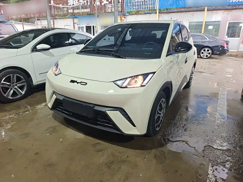 BYD Seagull 2024