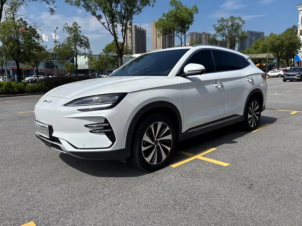 BYD PLUS New Energy 2024