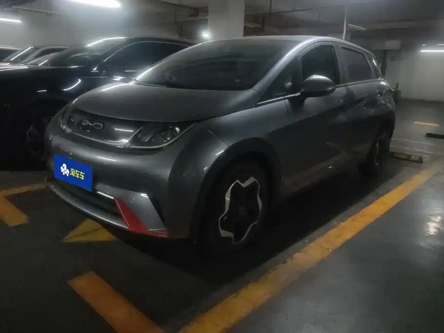 BYD Dolphin 2022