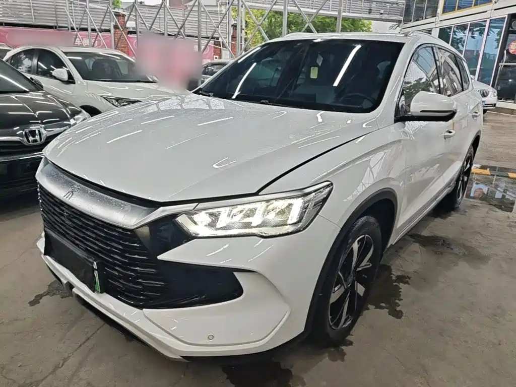 BYD Pro New Energy 2024