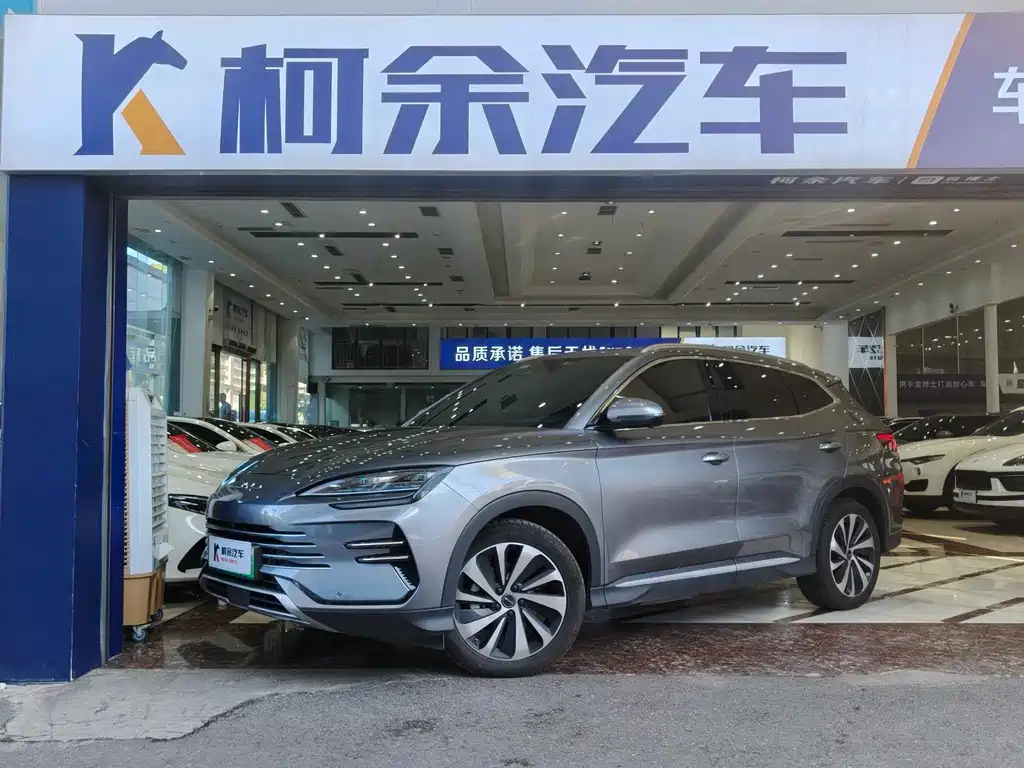 BYD PLUS New Energy 2024