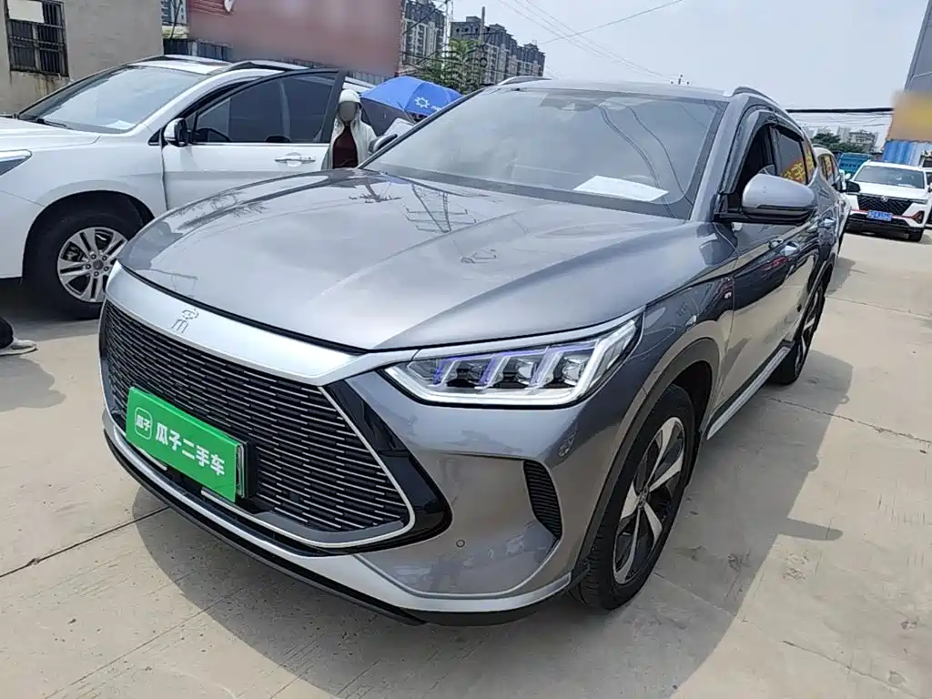 BYD PLUS New Energy 2021