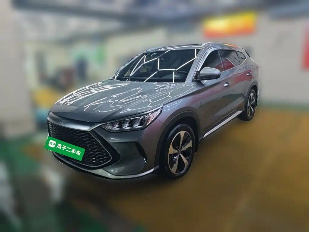 BYD PLUS New Energy 2022