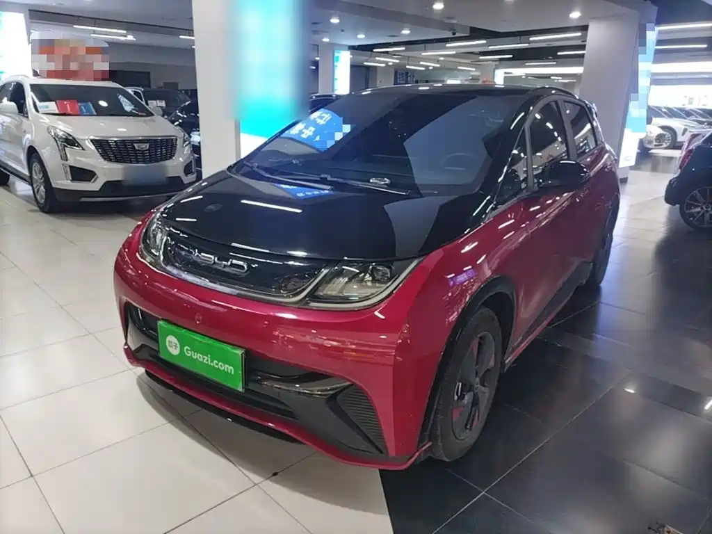 BYD Dolphin 2024