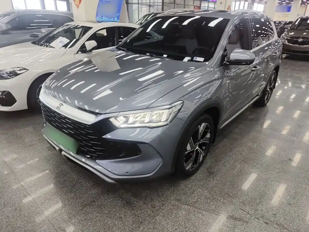 BYD Pro New Energy 2024