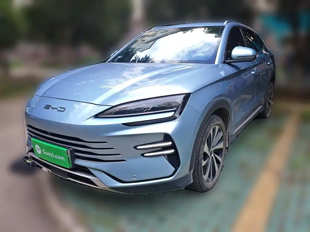 BYD PLUS New Energy 2024