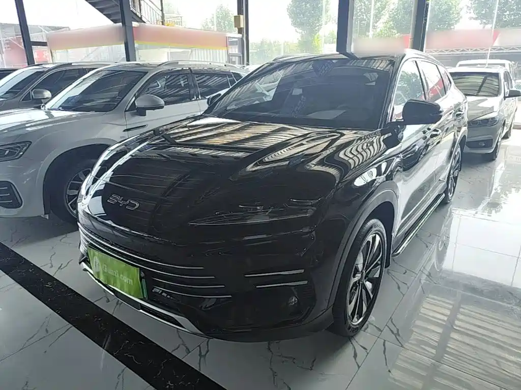 BYD PLUS New Energy 2025