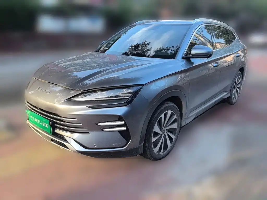 BYD PLUS New Energy 2024