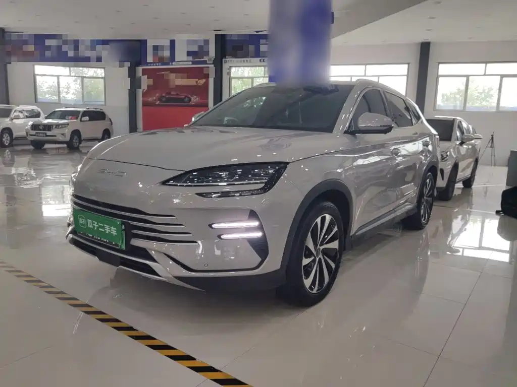 BYD PLUS New Energy 2024