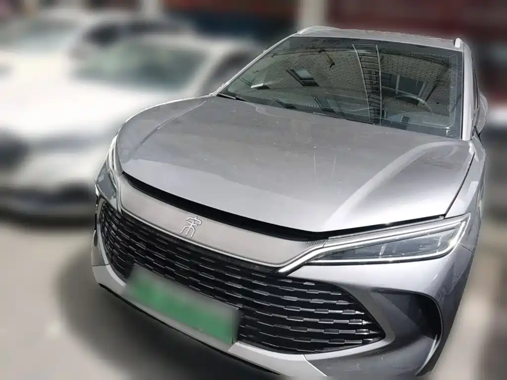 BYD Pro New Energy 2025