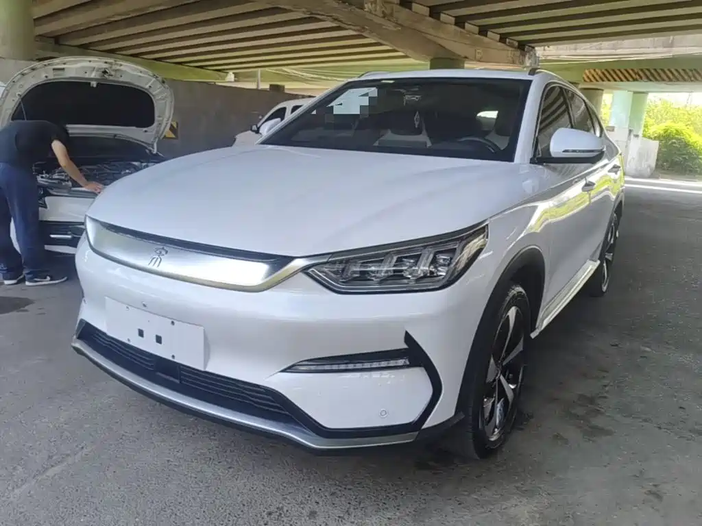 BYD PLUS New Energy 2021