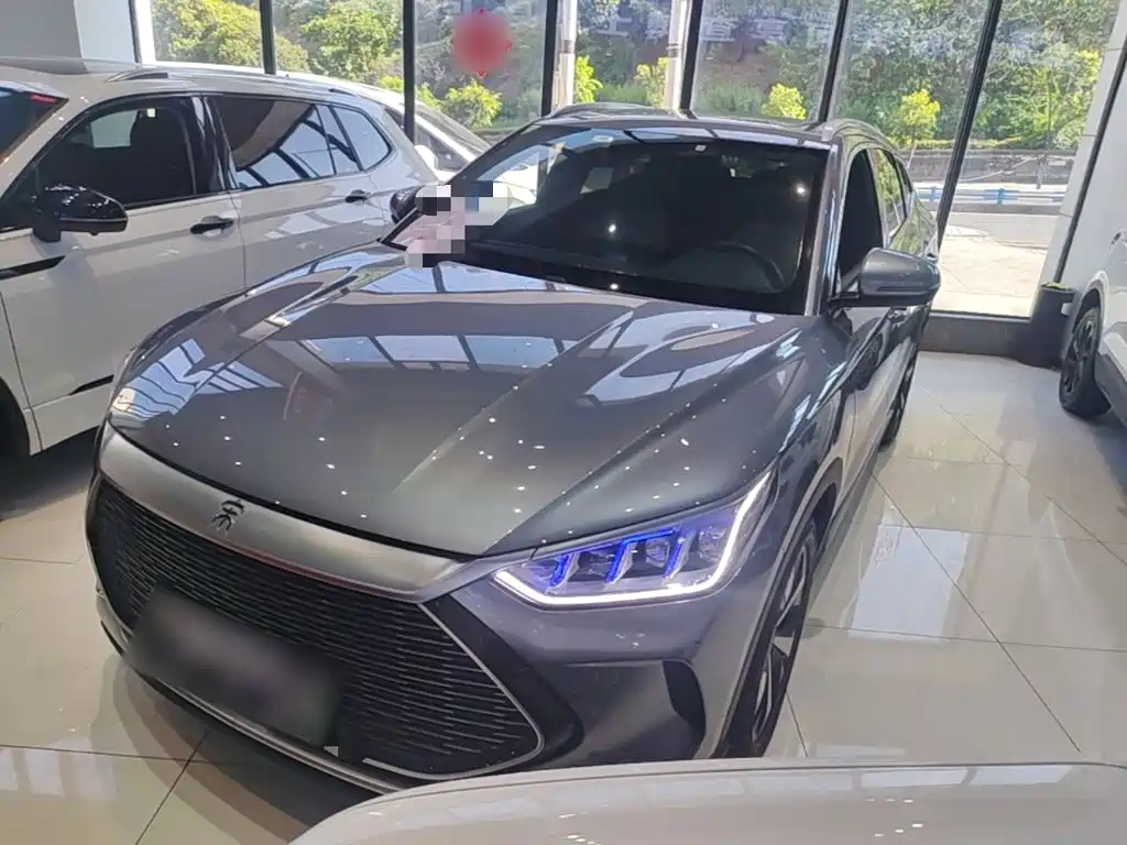 BYD PLUS New Energy 2022