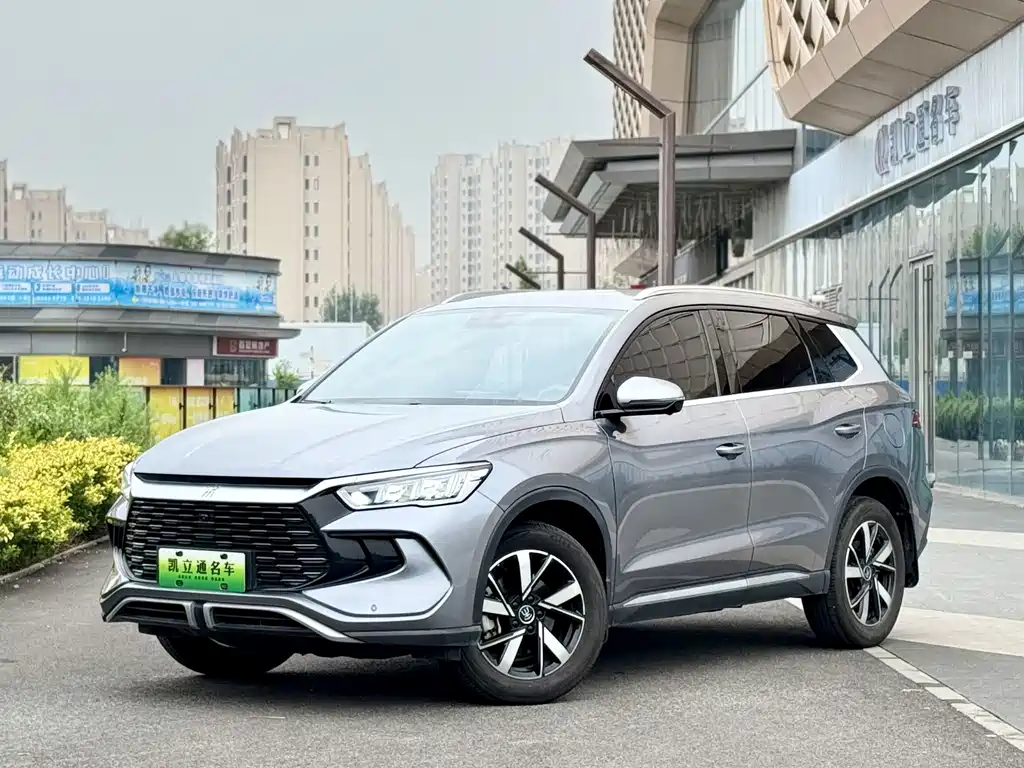 BYD Pro New Energy 2024