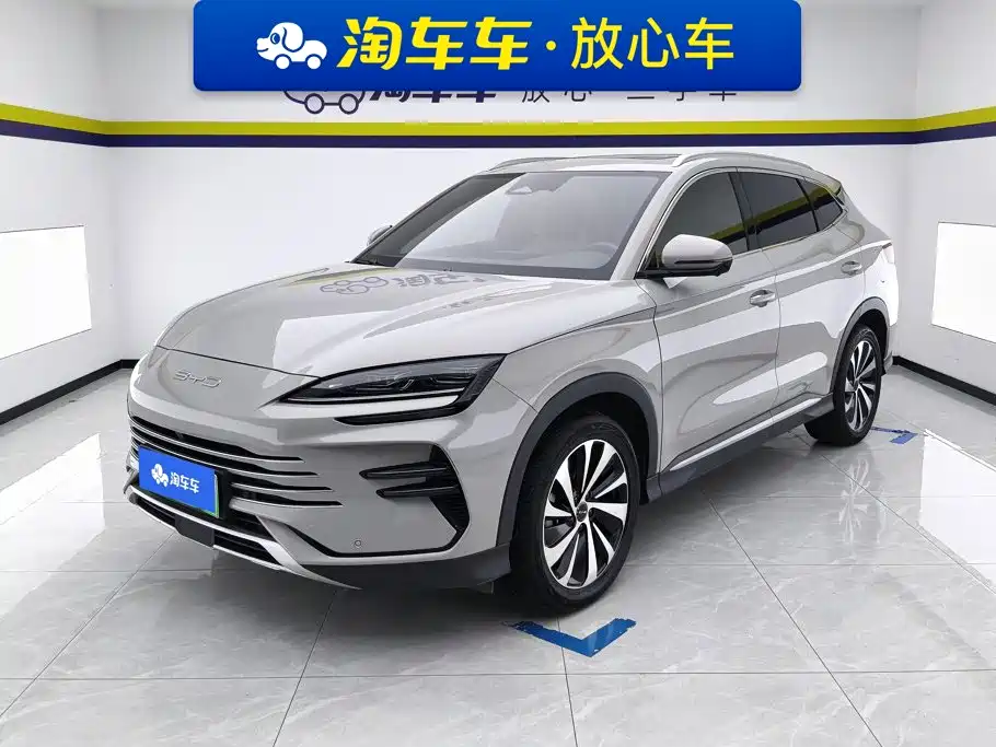 BYD PLUS New Energy 2024
