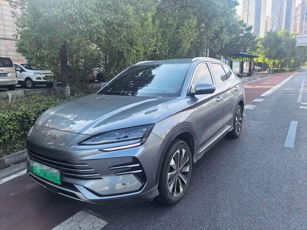 BYD PLUS New Energy 2024