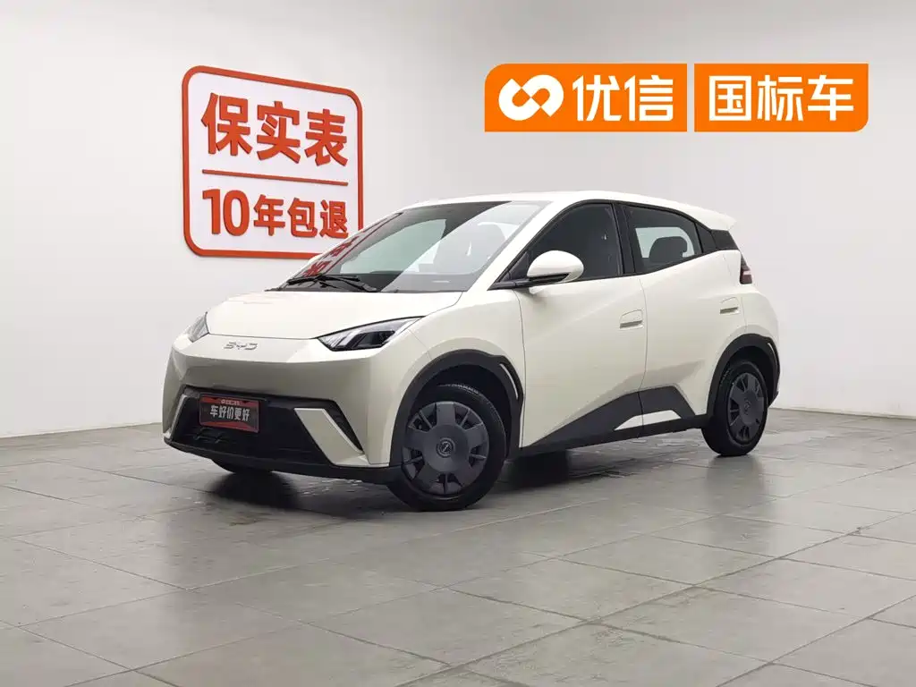 BYD Seagull 2024