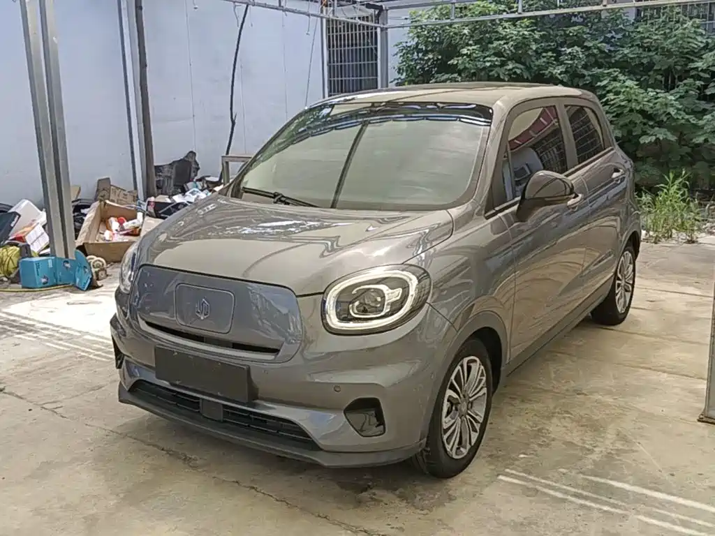 Leapmotor Leapmotor T03 2021