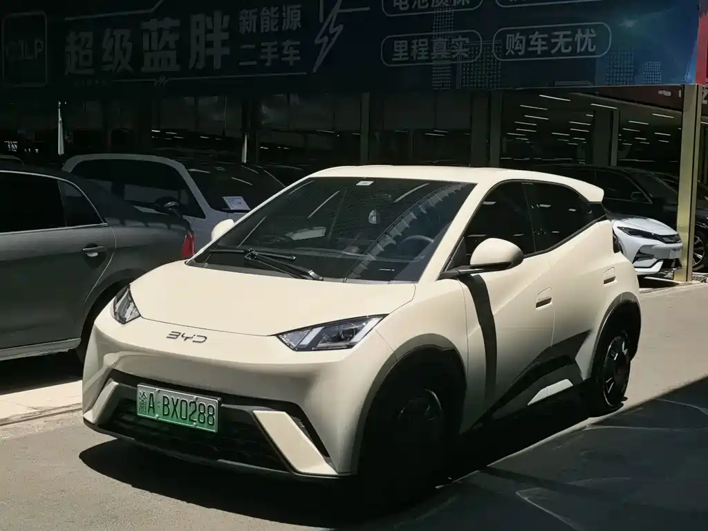 BYD Seagull 2025