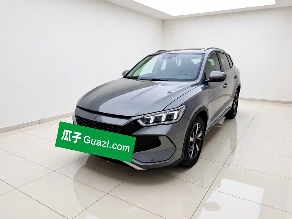 BYD Pro New Energy 2024