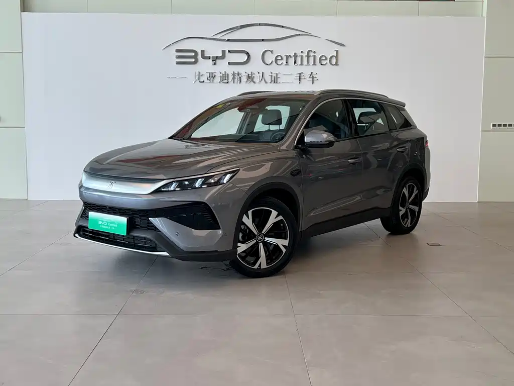 BYD Pro New Energy 2025