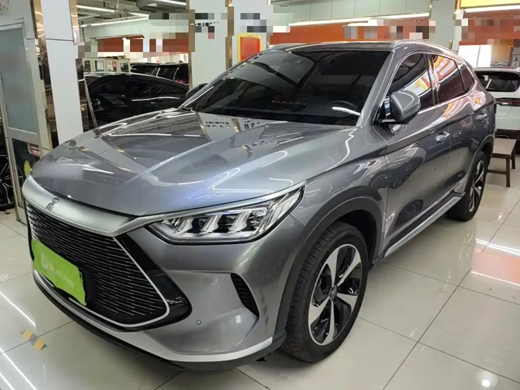 BYD PLUS New Energy 2022