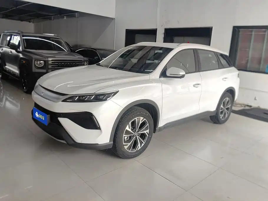 BYD Pro New Energy 2026