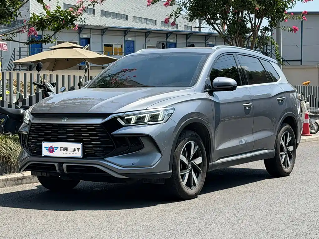 BYD Pro New Energy 2024