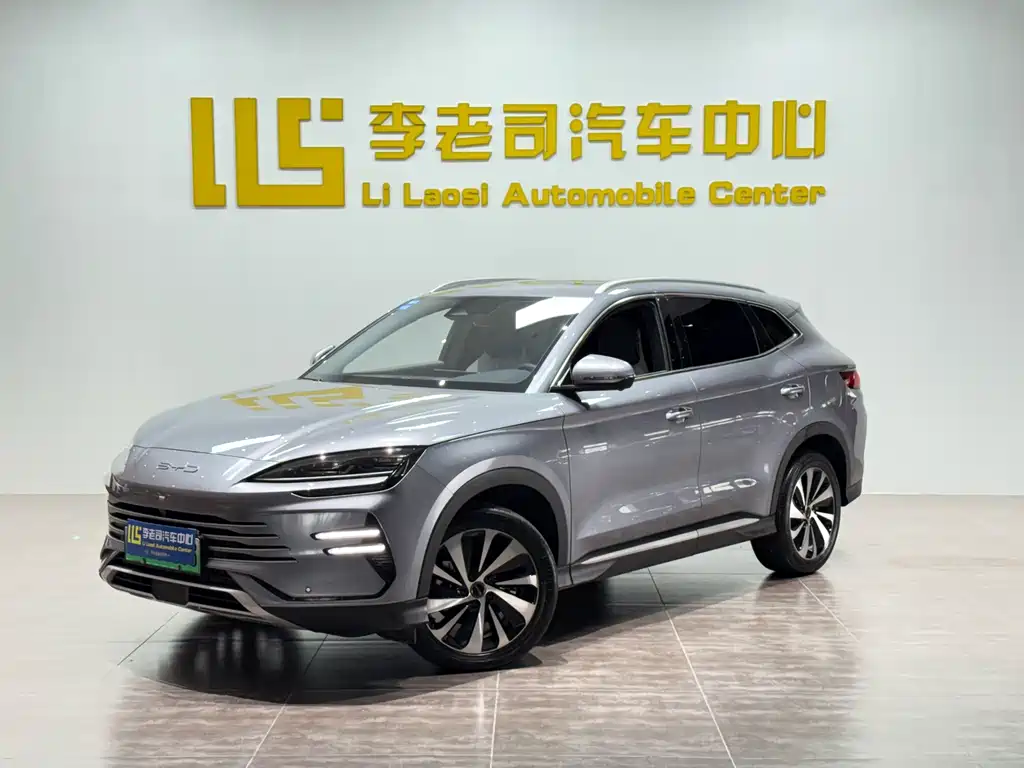 BYD PLUS New Energy 2024
