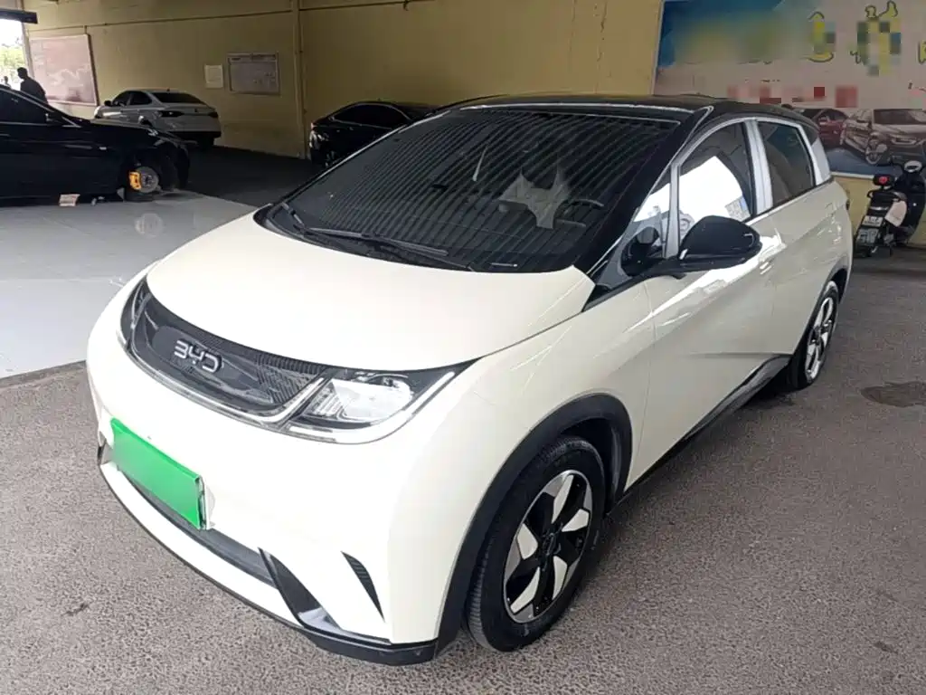 BYD Dolphin 2024