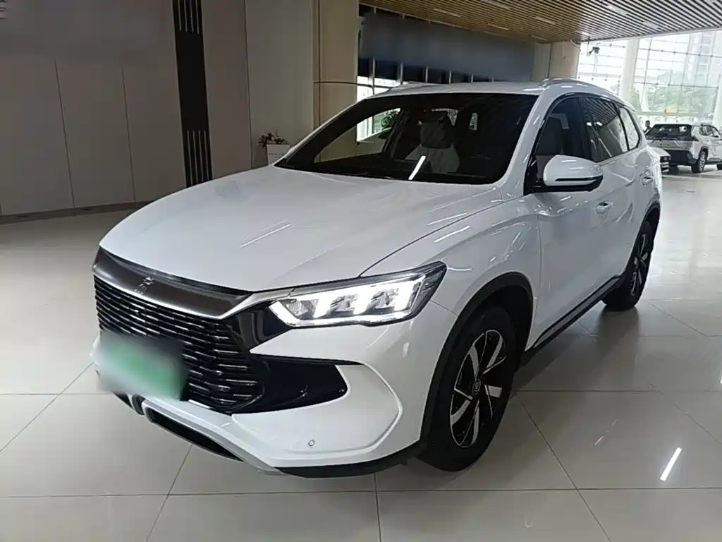 BYD Pro New Energy 2024
