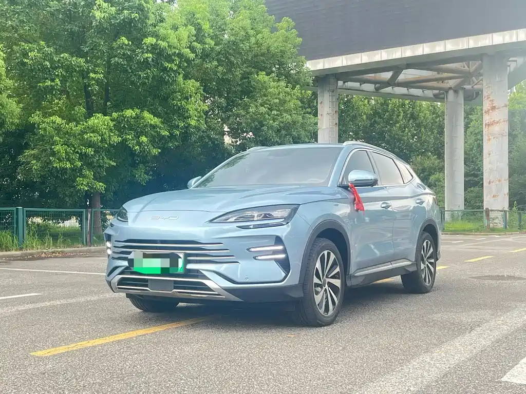 BYD PLUS New Energy 2024