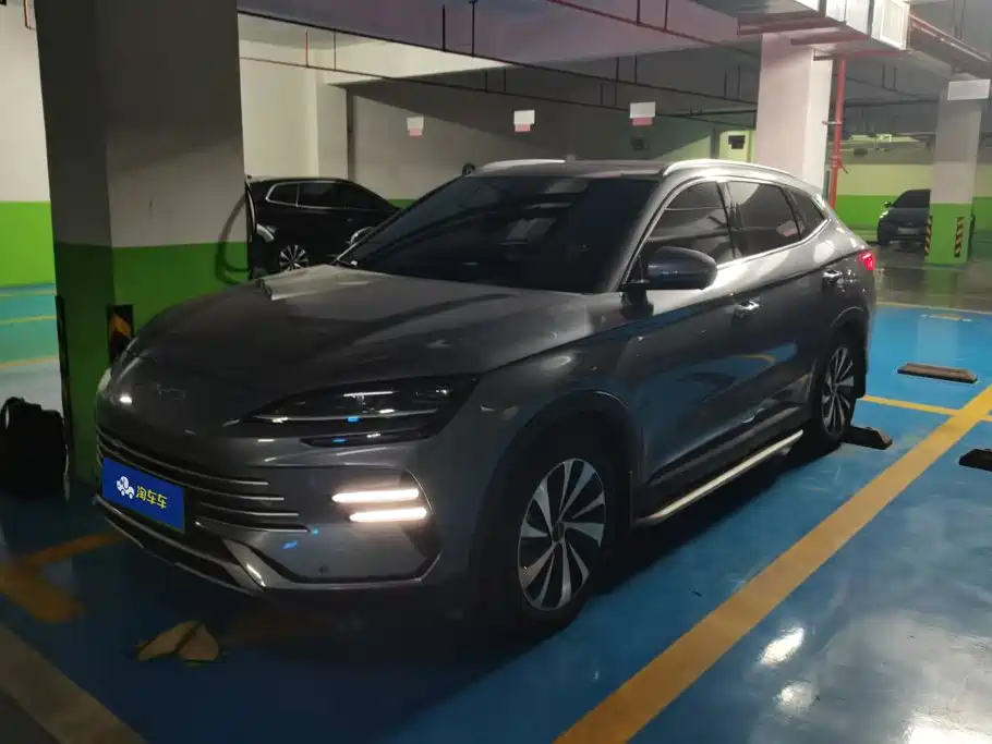 BYD PLUS New Energy 2024