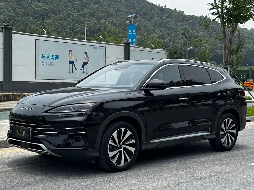 BYD PLUS New Energy 2024