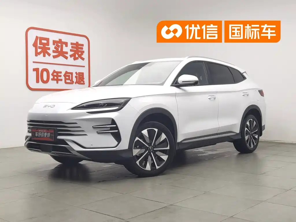 BYD PLUS New Energy 2024