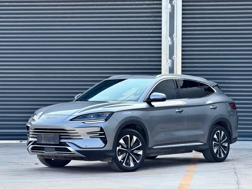 BYD PLUS New Energy 2024