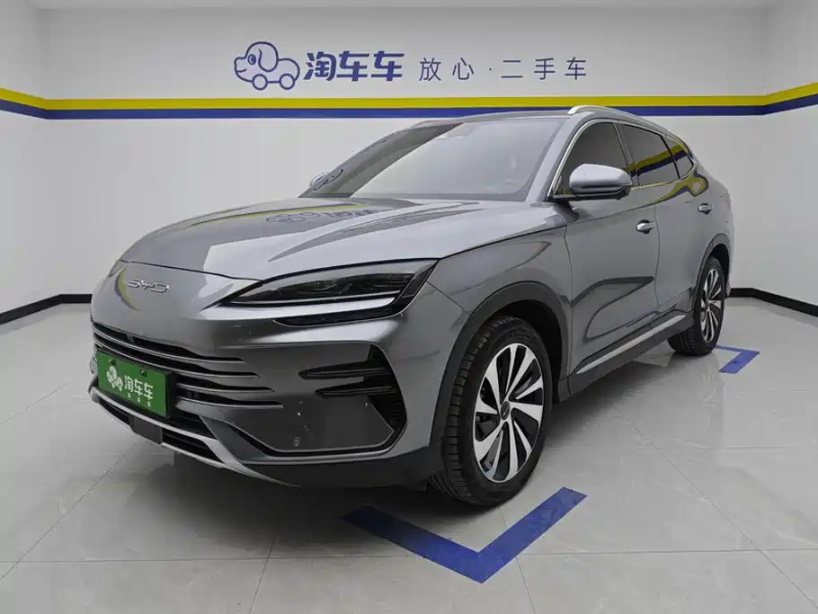 BYD PLUS New Energy 2024