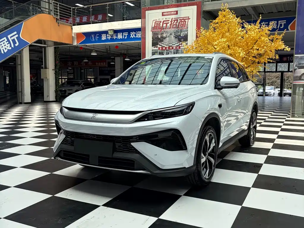 BYD Pro New Energy 2026