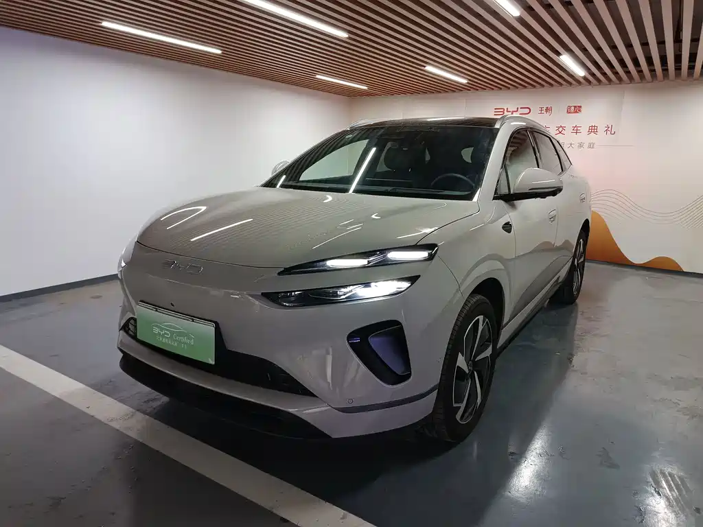 BYD 海狮06 2025