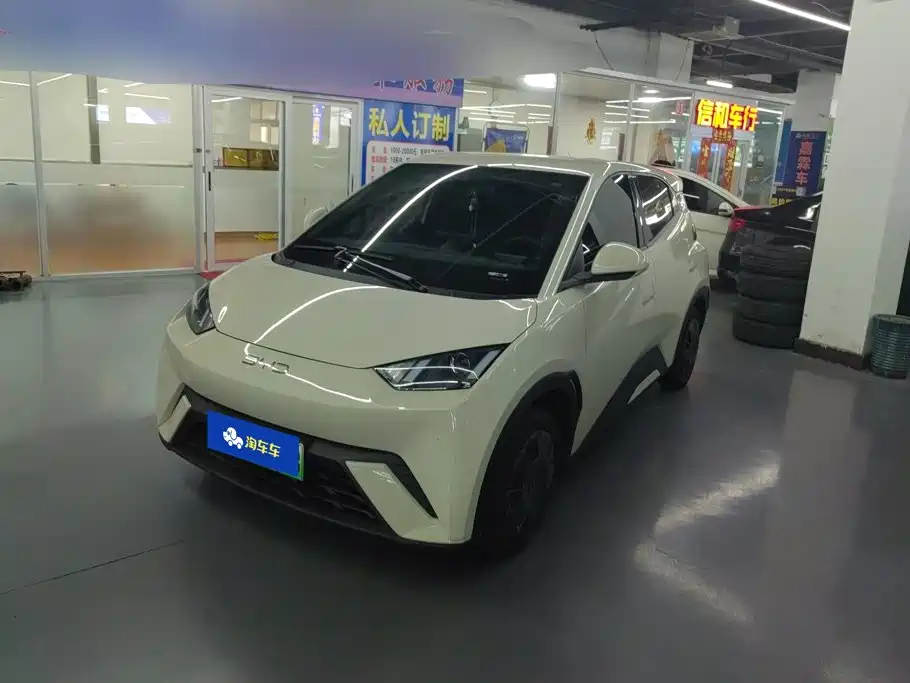 BYD Seagull 2024