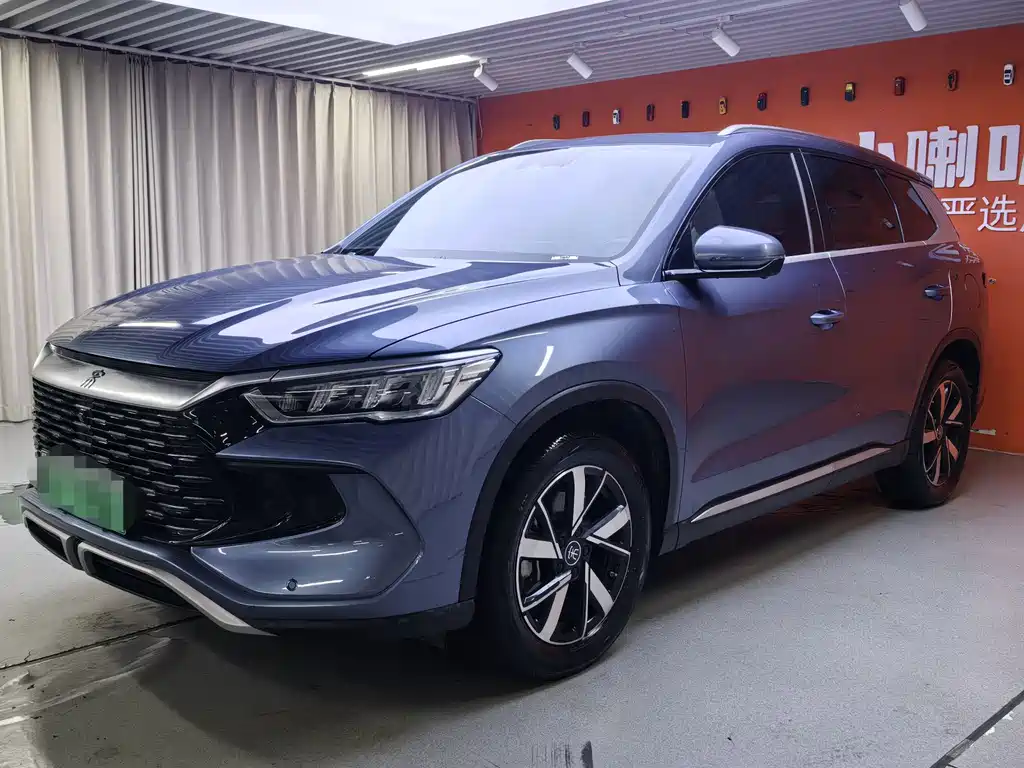 BYD Pro New Energy 2024