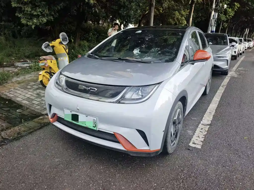 BYD Dolphin 2022