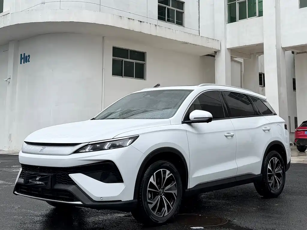 BYD Pro New Energy 2025