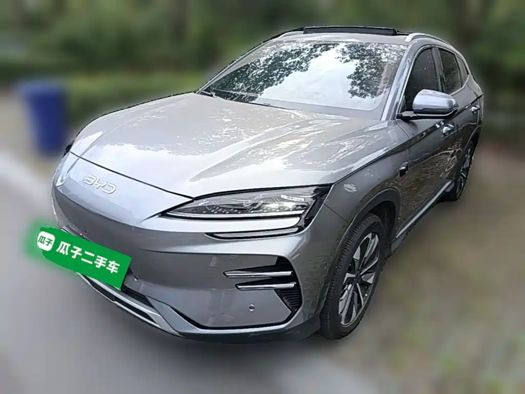 BYD PLUS New Energy 2025