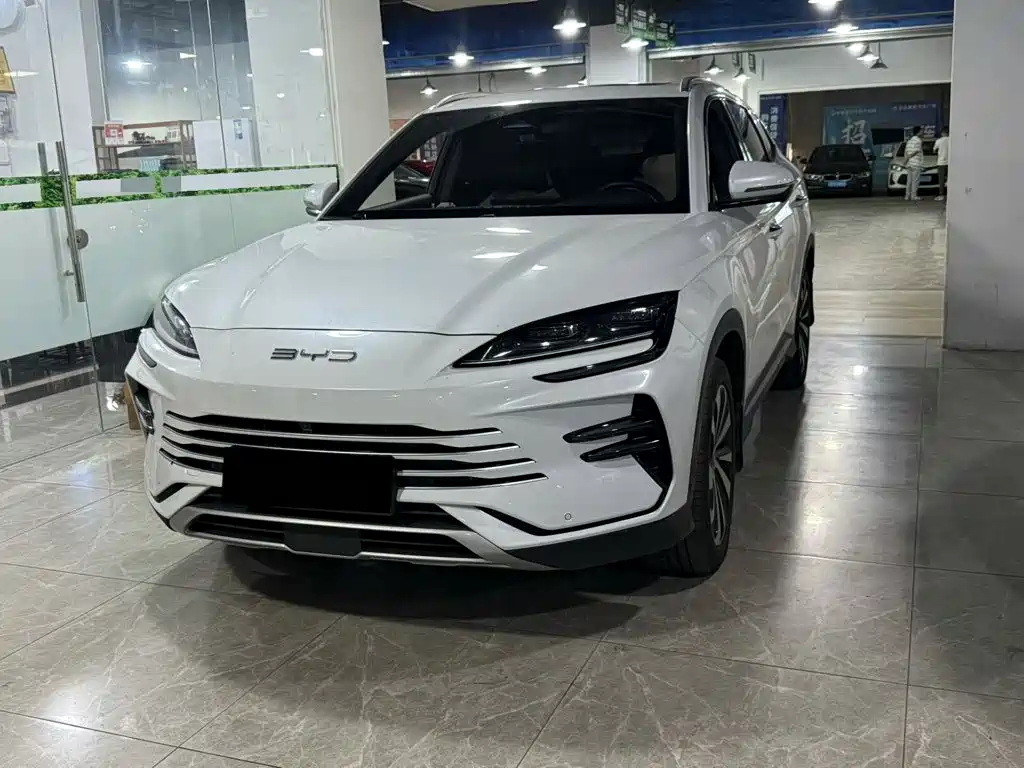 BYD PLUS New Energy 2024