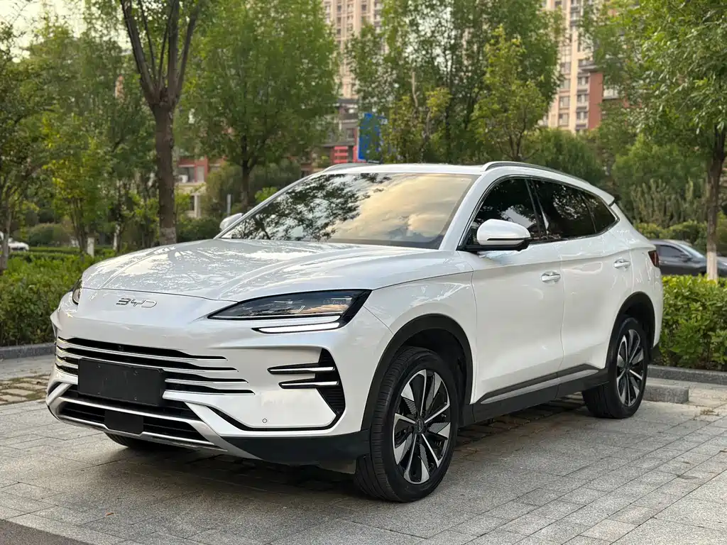 BYD PLUS New Energy 2024