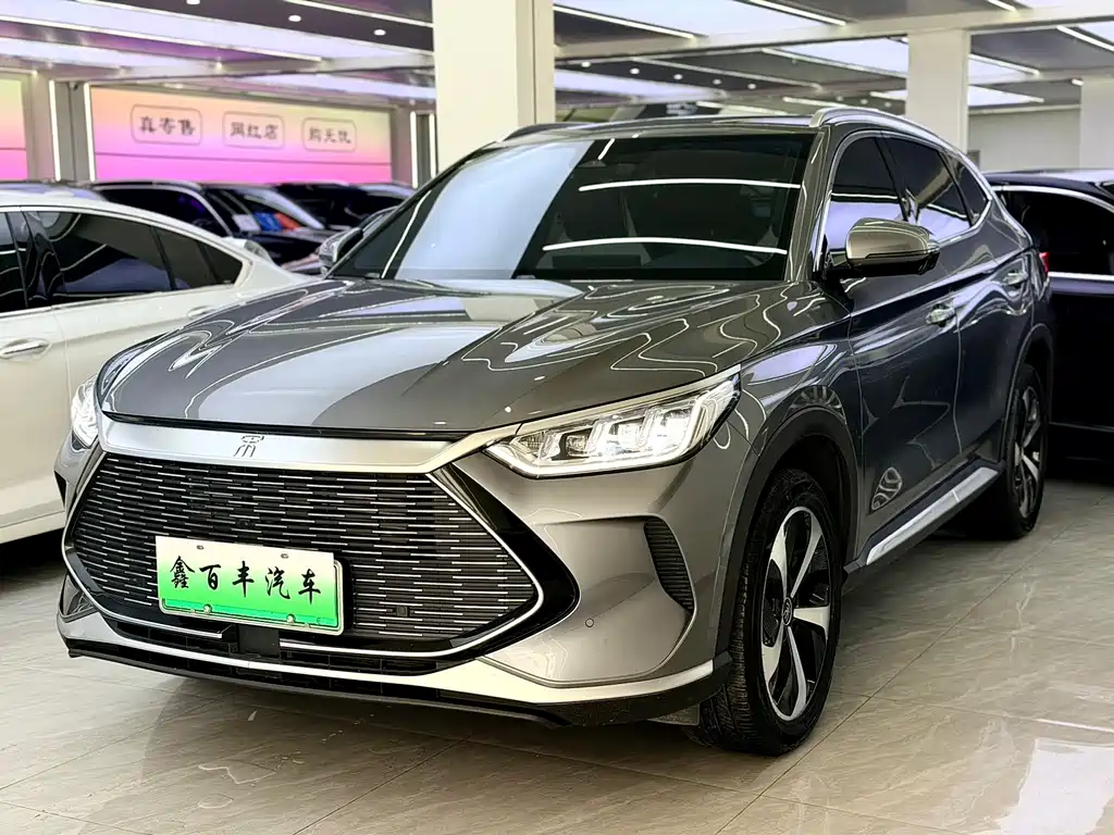 BYD PLUS New Energy 2023