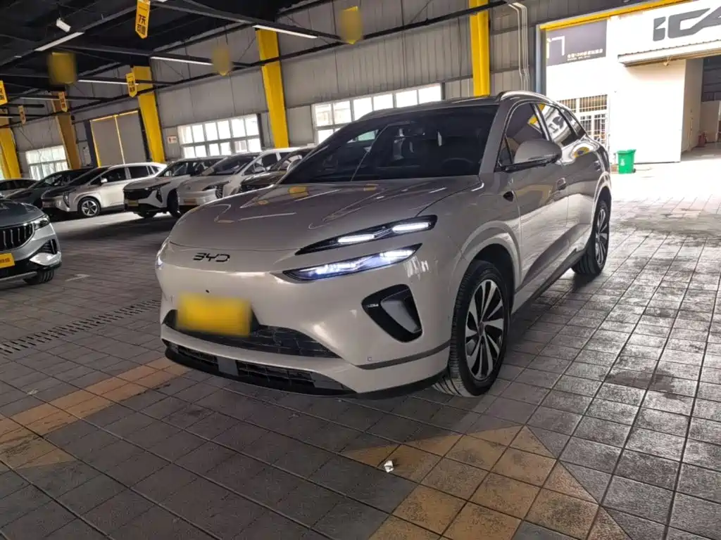 BYD 海狮06 2025