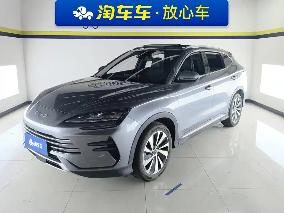 BYD PLUS New Energy 2024