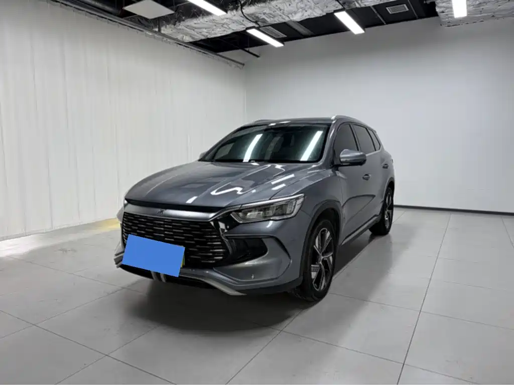BYD Pro New Energy 2024